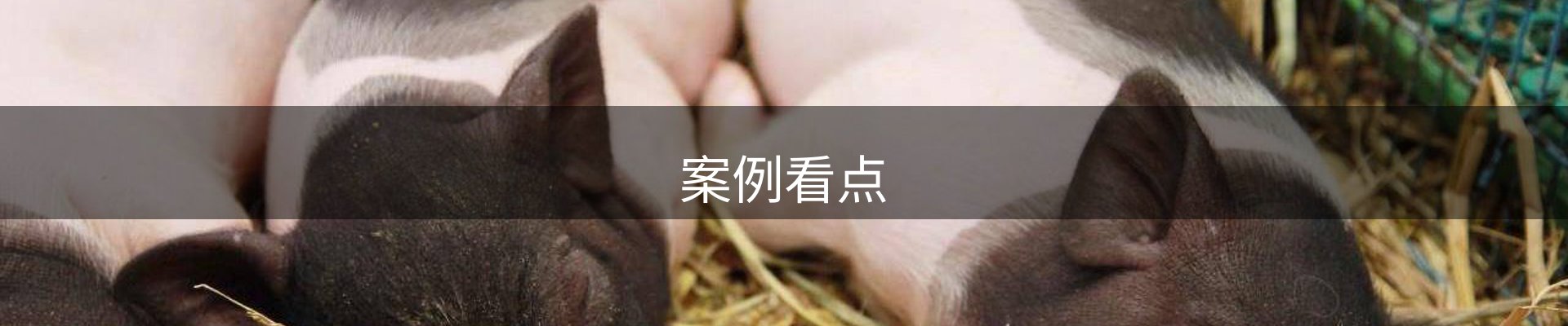 案例看点