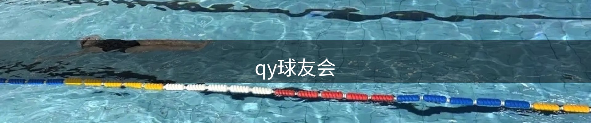 qy球友会-官方网站